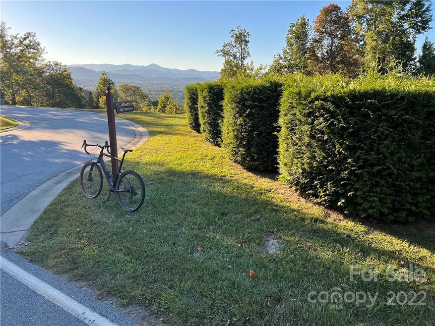 24 High Canyon Ln, Hendersonville, NC 28791 - photo 1