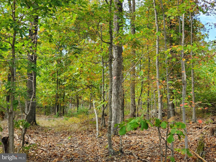 19.39 Acres Apple Harvest Dr, Gerrardstown, WV 25420 - photo 1