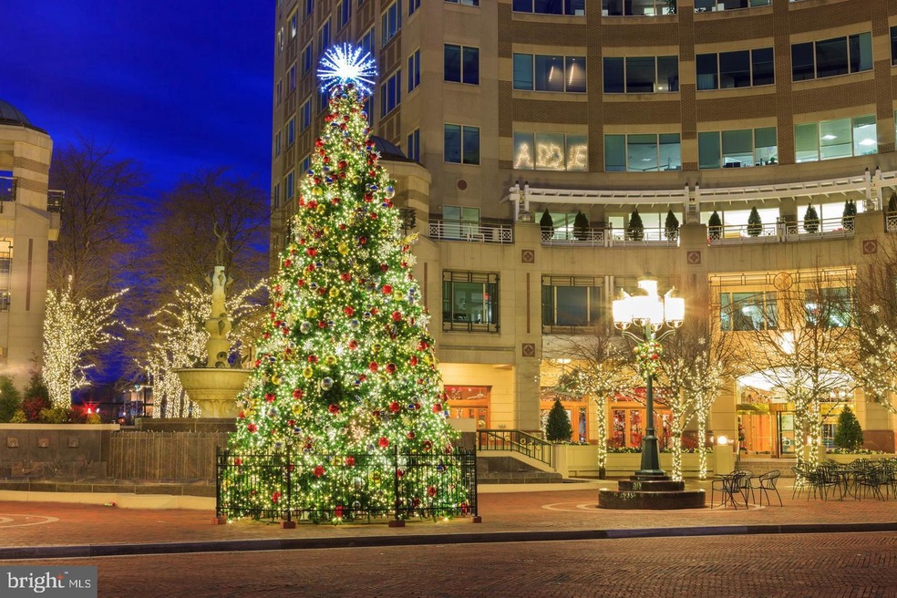 2317 Freetown Ct unit 1B, Reston, VA 20191 - photo 1