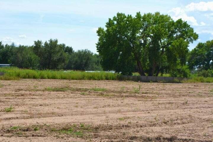 6 Leibel Ct, Los Lunas, NM 87031 - photo 1