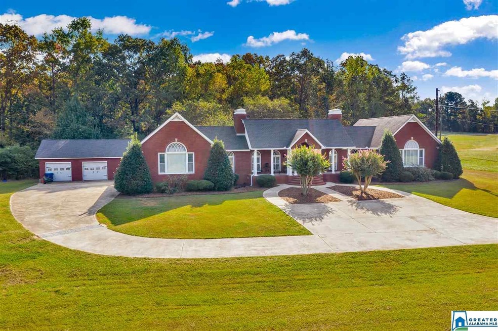 11300 Mize Rd, Remlap, AL 35133 - photo 1