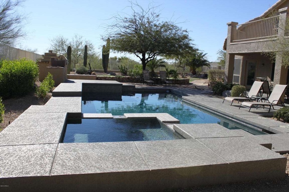 Amazing Backyard