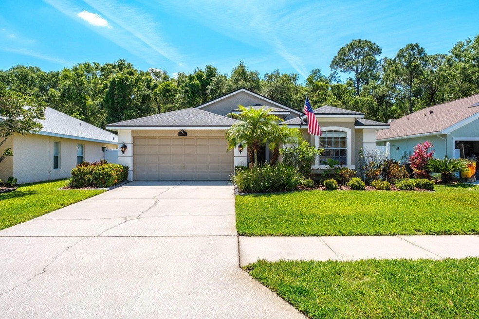 326 Tavernier Dr, Oldsmar, FL 34677 - photo 1