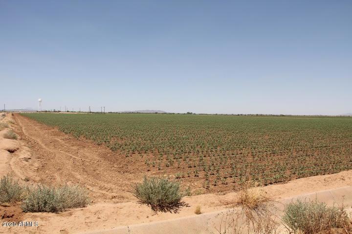 0 E Milligan Rd unit 6038735, Eloy, AZ 85131 - photo 1