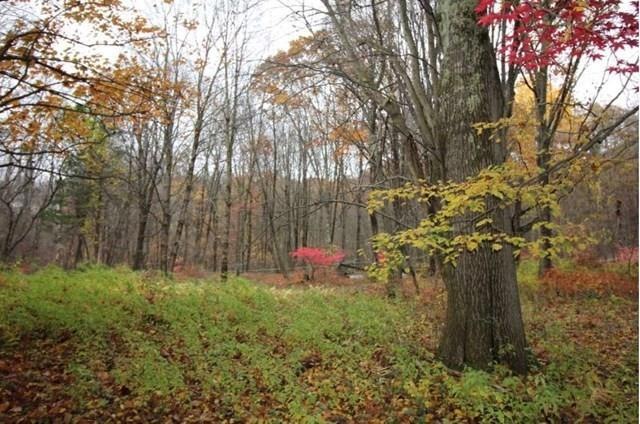 0 Bog Hollow Rd unit 5119914, Amenia, NY 12592 - photo 1