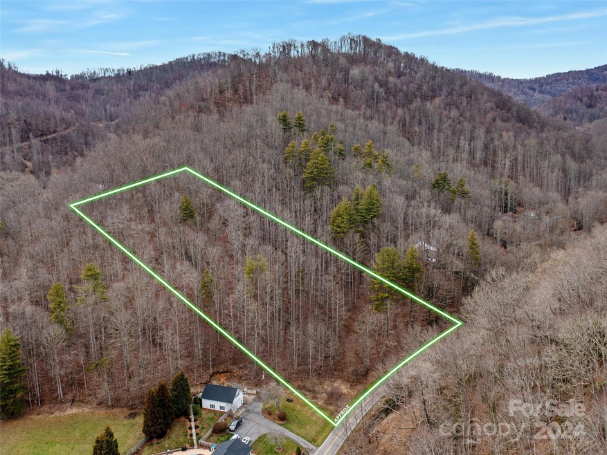 Lot 5 Fox Creek Rd, Burnsville, NC 28714 - photo 1