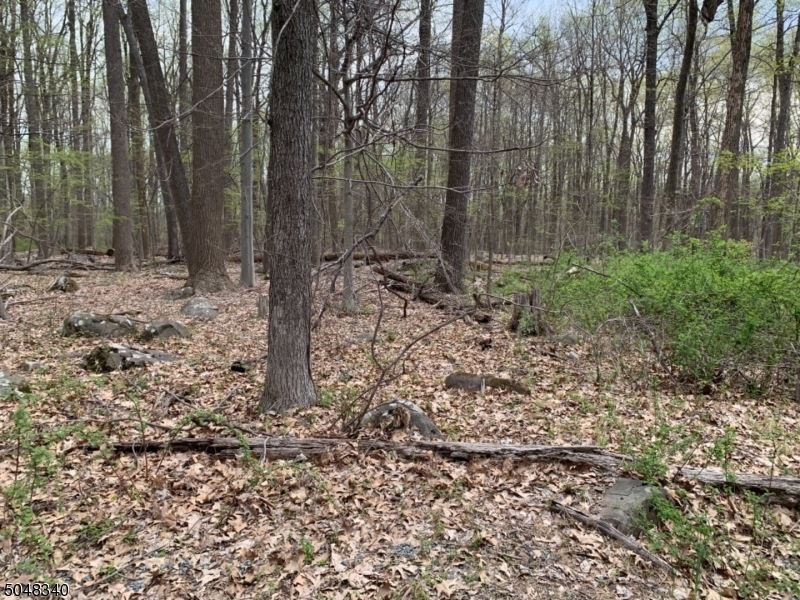 21 S Hill Rd, Hopewell, NJ 08525 - photo 1