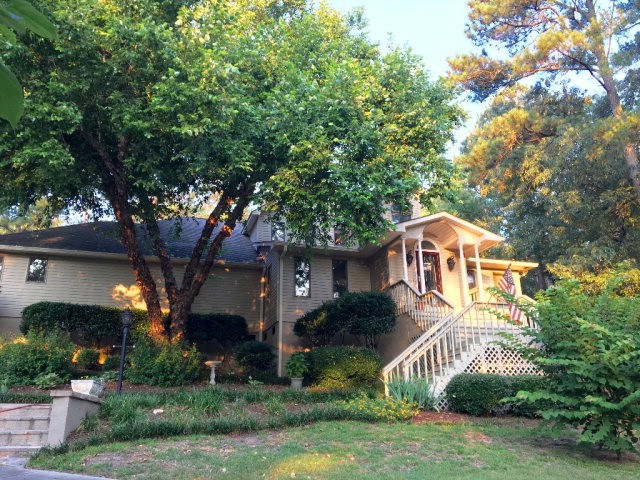 Main View