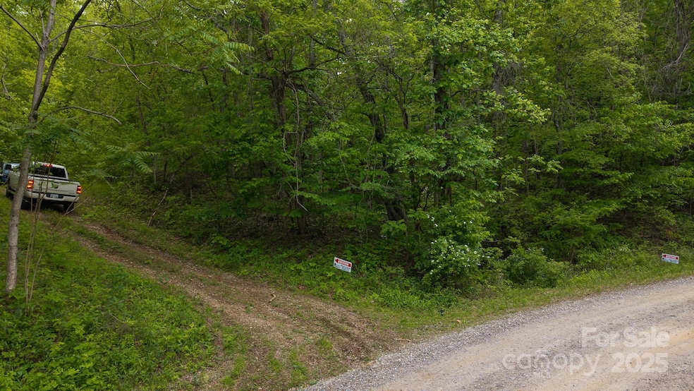 0 Cove Gap Rd unit Offering 1, Moravian Falls, NC 28654 - photo 1