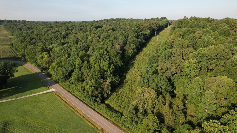 0 Rock Springs Rd unit RTC2964004, Cumberland Furnace, TN 37051 - photo 1