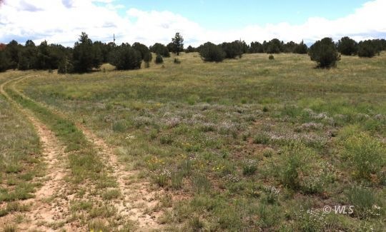 View of property from Q Path