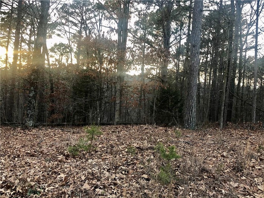 0 Newquay Ln, Bella Vista, AR 72714 - photo 1