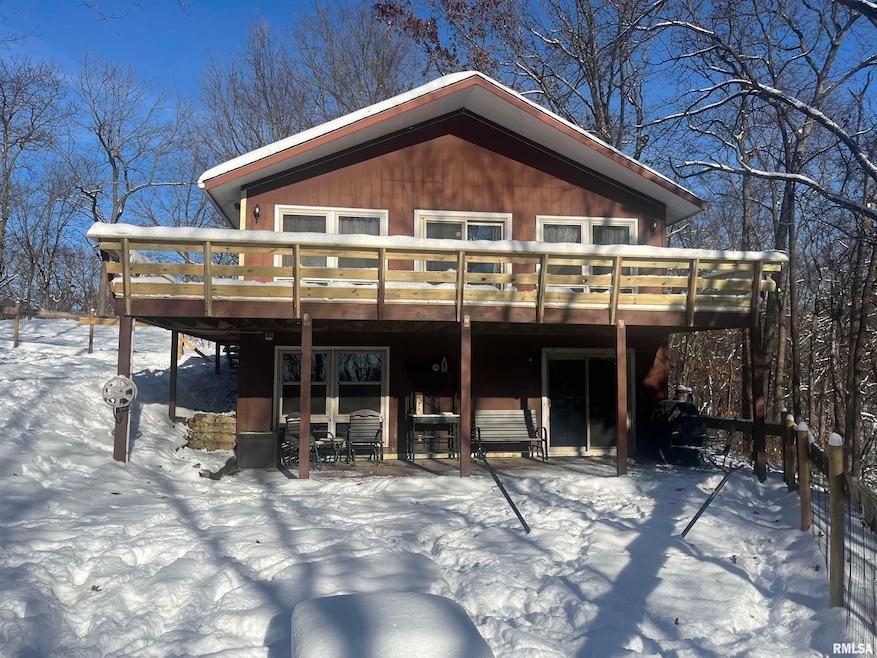 10 Cayuga Trail, Galena, IL 61036 - photo 1