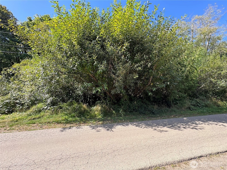 3628 Creek View Ct SE, Parkwood, WA 98366 - photo 1