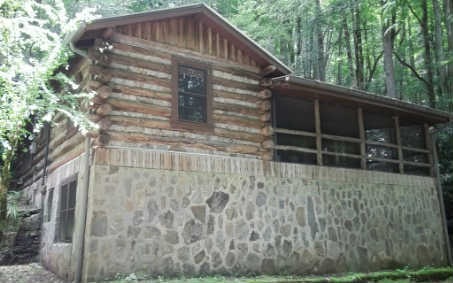 Main View