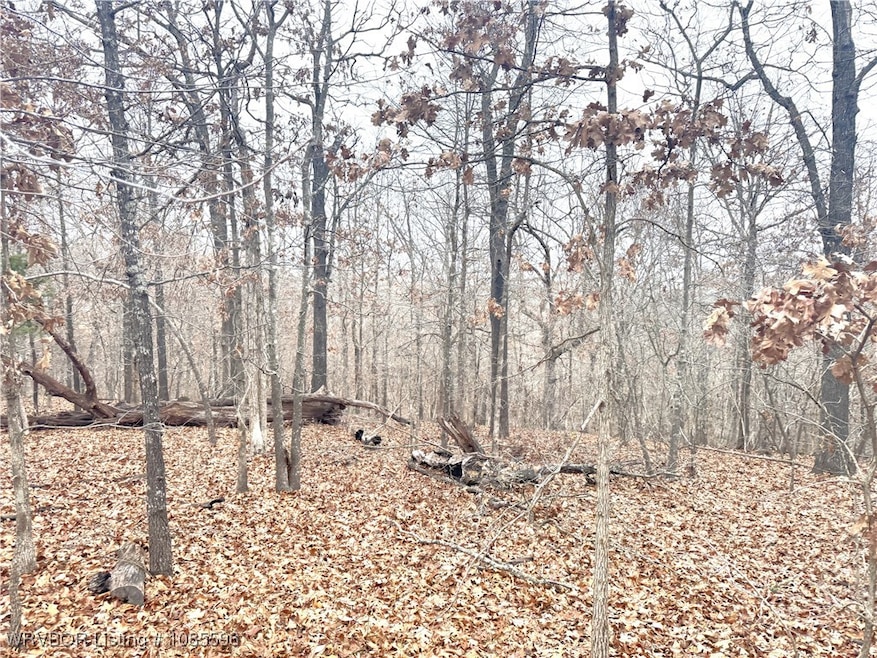 29200 Hampton Ridge Rd, Proctor, OK 74457 - photo 1