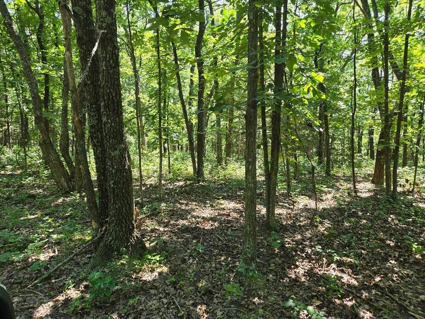 42.3 wooded