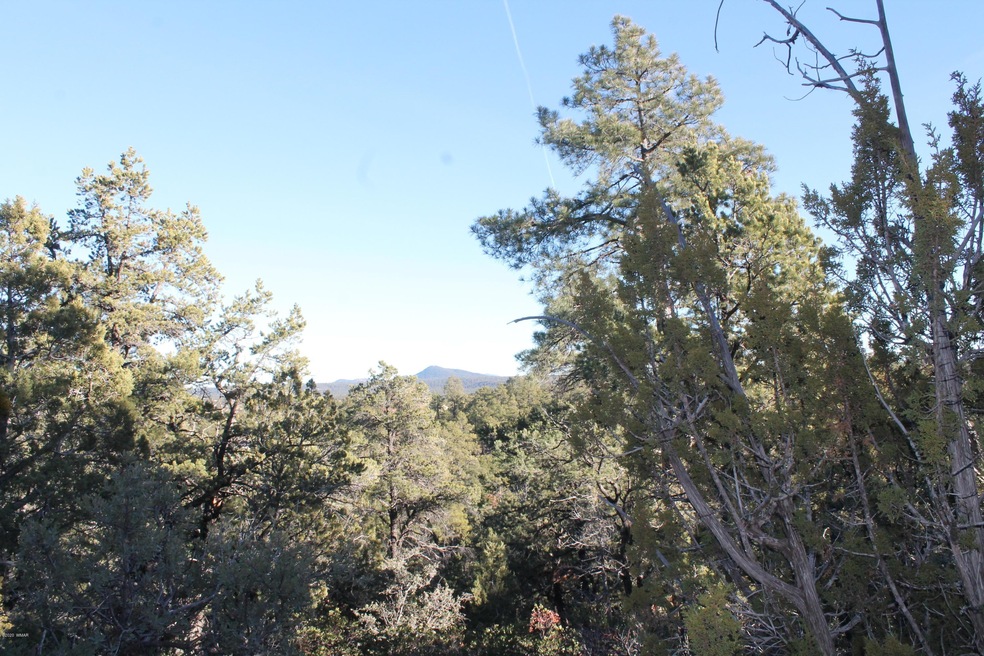 1870 S Pleasant View Dr, Show Low, AZ 85901 - photo 1