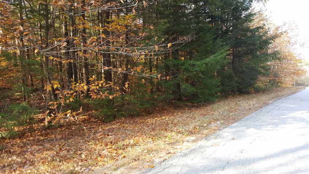 Lot 4 Alpine Rd, Bridgewater, NH 03222 - photo 1