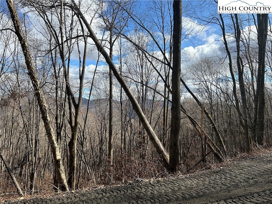 7 Woodfern Way, Todd, NC 28684 - photo 1