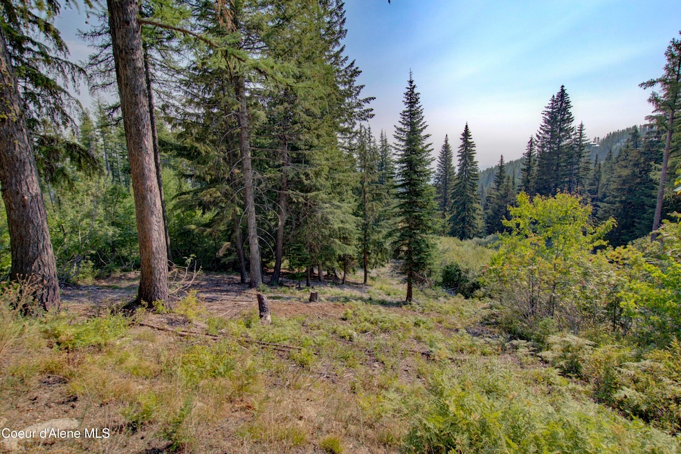 Blk4 Lot4 Ullr Dr, Sandpoint, ID 83864 - photo 1