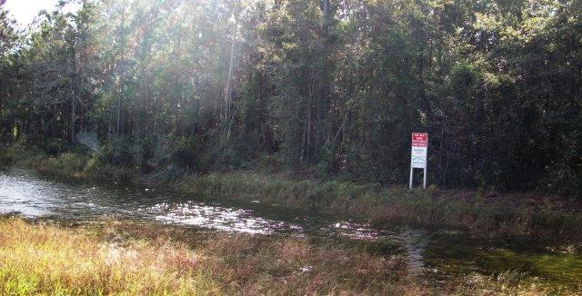 4325 Old Cypress Mill Rd (15 1 Acres), Brunswick, GA 31520 - photo 1