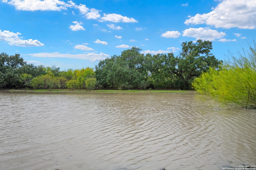 719 County Road 653, Devine, TX 78016 - photo 1