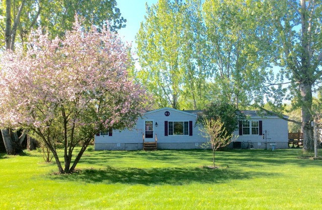 Main View