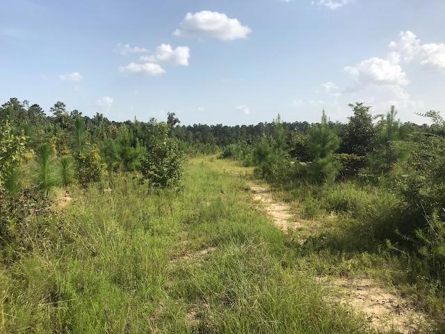 0 County Road 237, Laurel, MS 39443 - photo 1