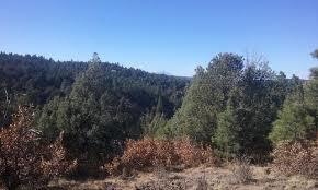 Alpine Meadows
