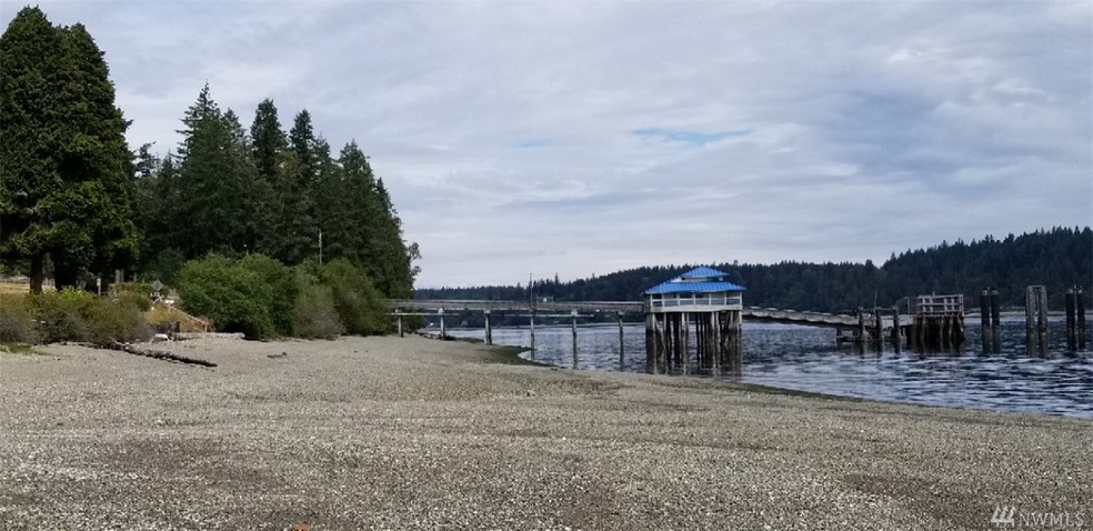8902 Villa Beach Rd unit AI, Anderson Island, WA 98303 - photo 1