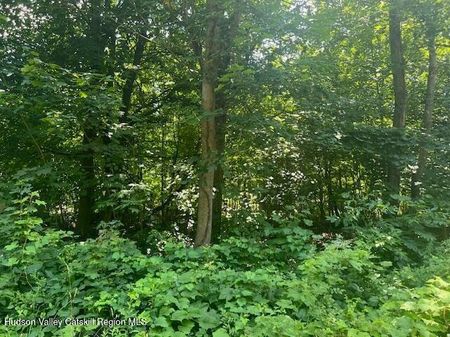 Land at 7 Ulster Avenue