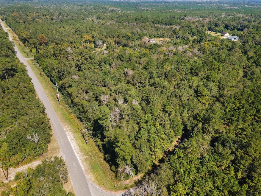 8715 Massey Lake Rd, Silsbee, TX 77656 - photo 1