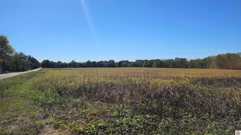 00 State Route 2205, Mayfield, KY 42066 - photo 1