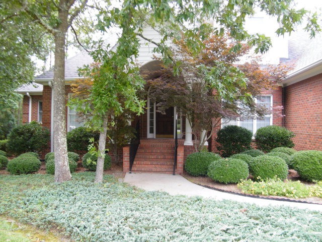 Main View
