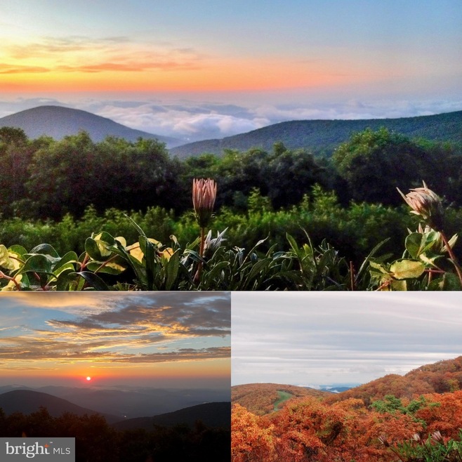 1537 Cliffs, Wintergreen Resort, VA 22967 - photo 1