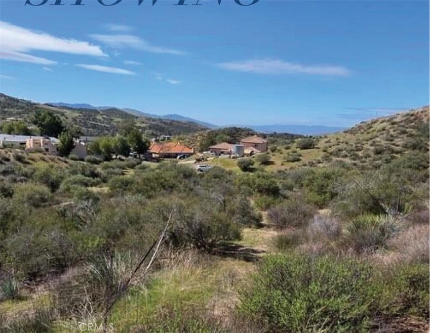 0 Davenport Woolsey Way unit SR25235569, Agua Dulce, CA 91390 - photo 1