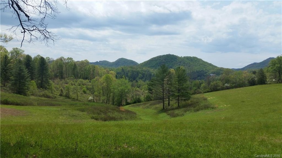 1628 Phipps Creek Rd, Burnsville, NC 28714 - photo 1