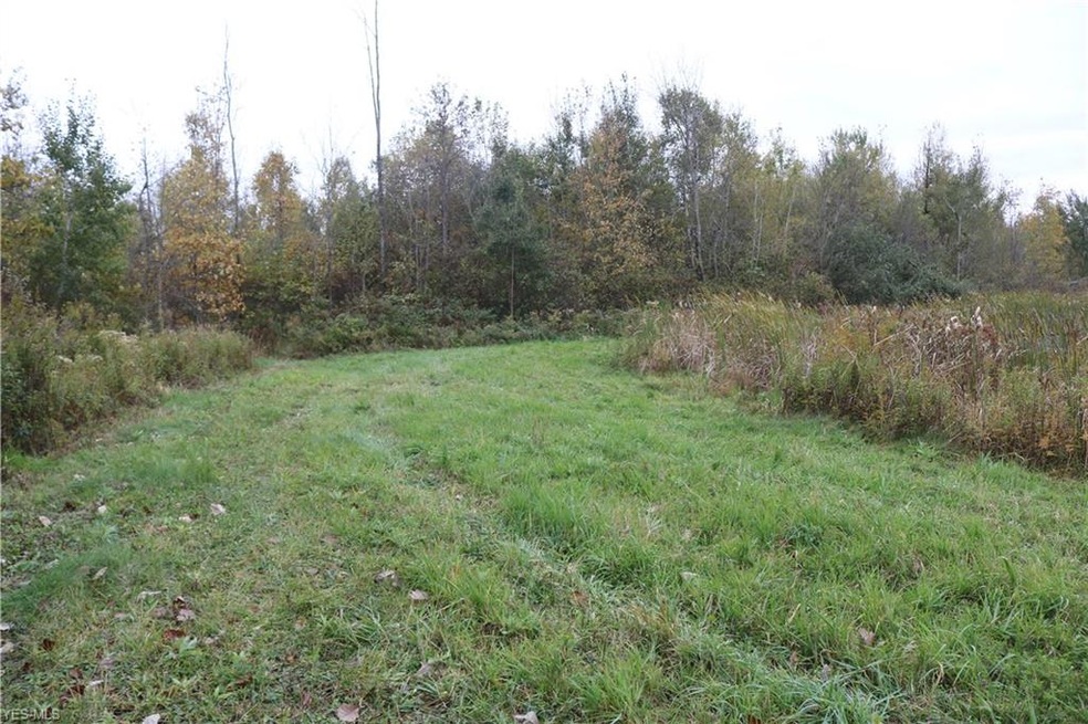 0 N Richmond Rd, Pierpont, OH 44082 - photo 1