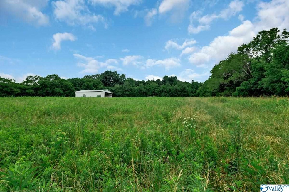 1300 Stella Rd, Prospect, TN 38477 - photo 1