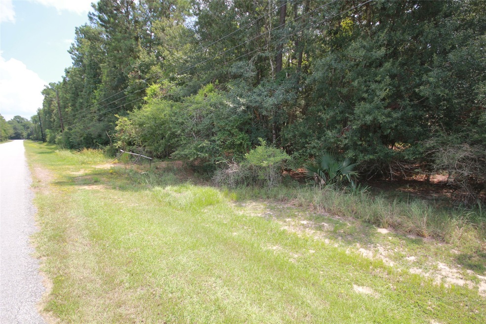 3 Deer Lodge Rd, Magnolia, TX 77354 - photo 1