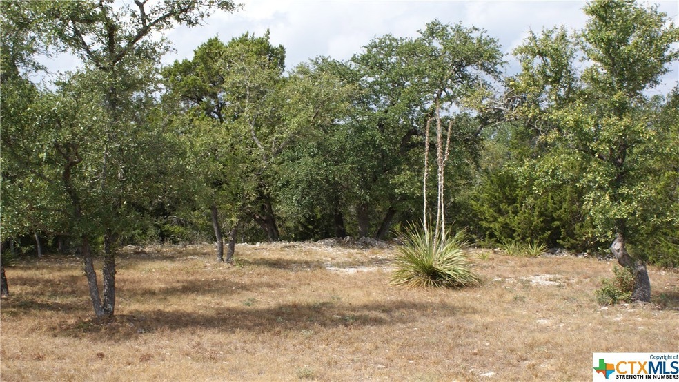 TBD Angelica Vista, Canyon Lake, TX 78133 - photo 1