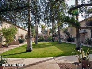 colter courtyard