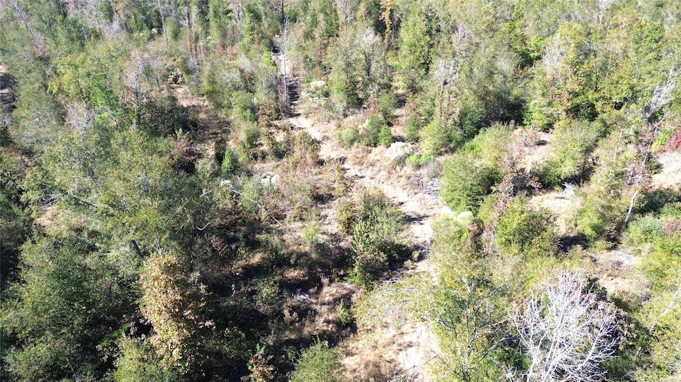 TBD Farm To Market 1280 E, Lovelady, TX 75851 - photo 1