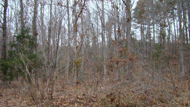 0 5 Acres-Muscadine Trail unit 8, Baskerville, VA 23915 - photo 1