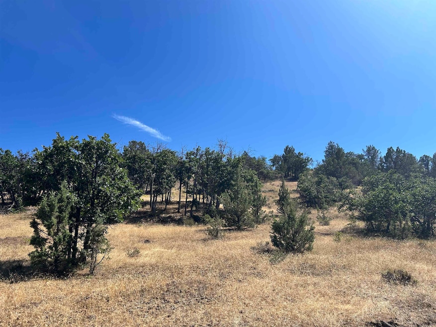 Unit 5 Lot #103 Greenfinch Way unit 5, Hornbrook, CA 96064 - photo 1