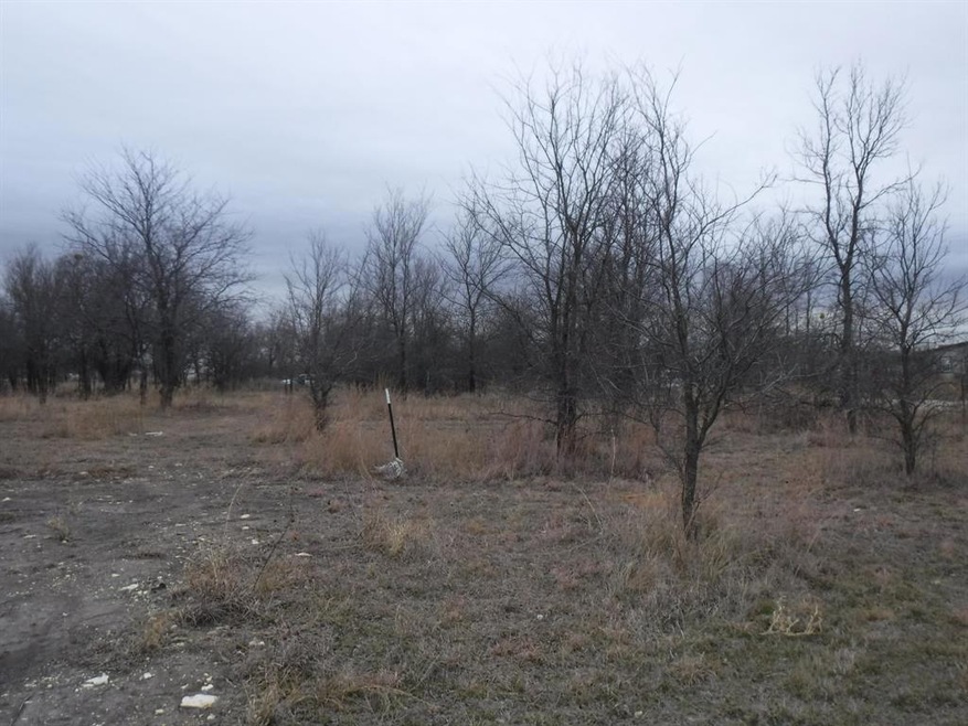 19 & 20 Roark Dr, Decatur, TX 76234 - photo 1