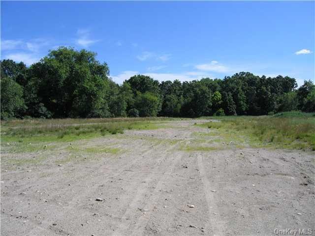 307 Us Highway 209, Deer Park, NY 12771 - photo 1