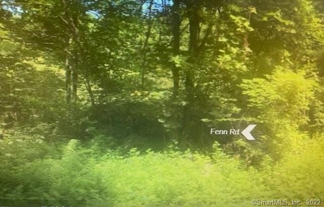 Lot 43 Fenn Rd, Litchfield, CT 06759 - photo 1