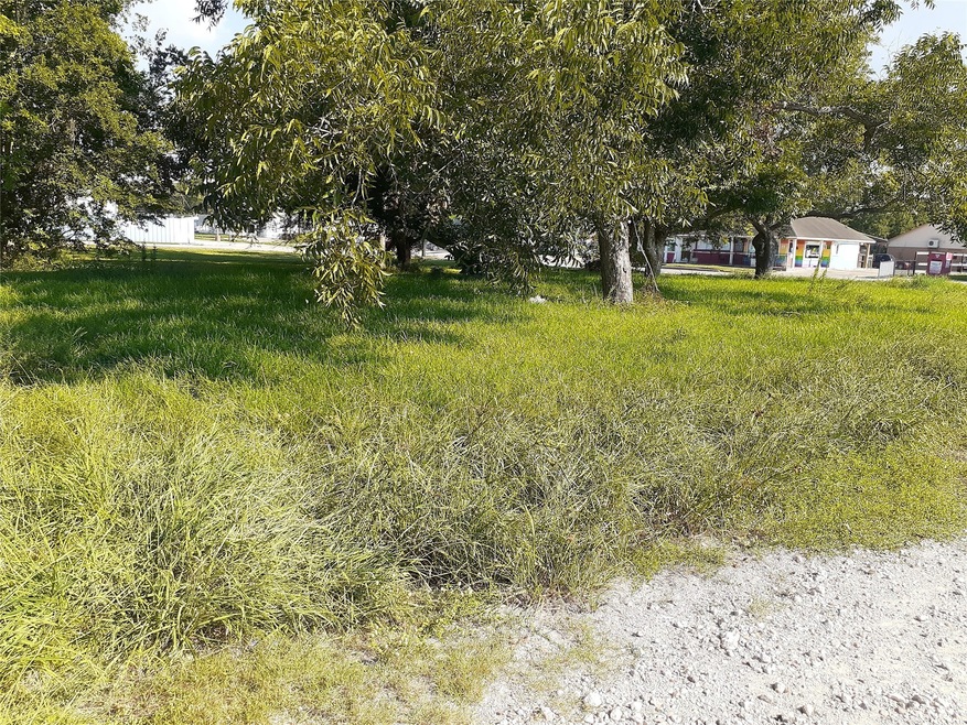 1325 Avenue H, Rosenberg, TX 77471 - photo 1